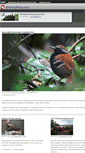 Mobile Screenshot of birdingblogs.com